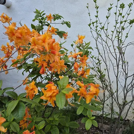 A La Forge Apartament Sermersheim